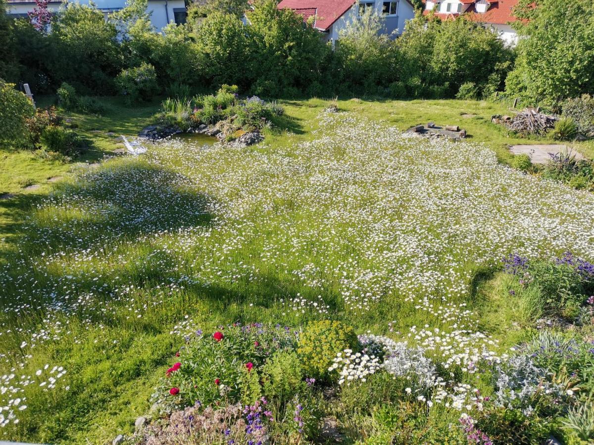 Moderne Ferienwohnung Gartenblick Amtzell Bagian luar foto