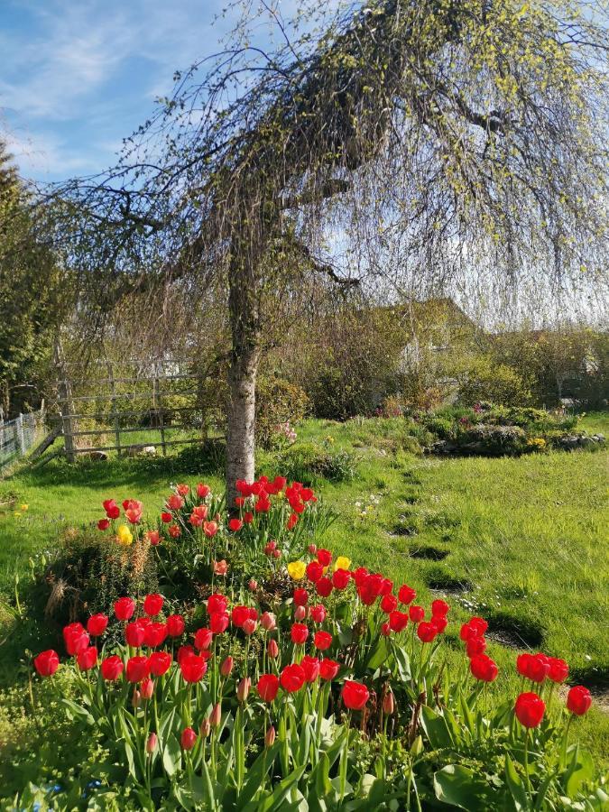 Moderne Ferienwohnung Gartenblick Amtzell Bagian luar foto
